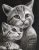 نقاشی بچه گربه و گربه ی بزرگ